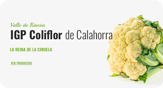 Coliflor